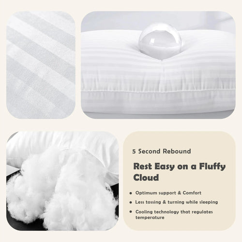 2 Down Pillows
