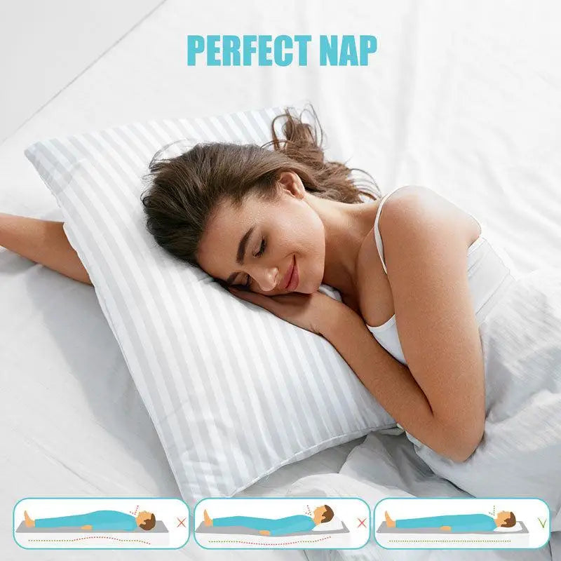 2 Down Pillows
