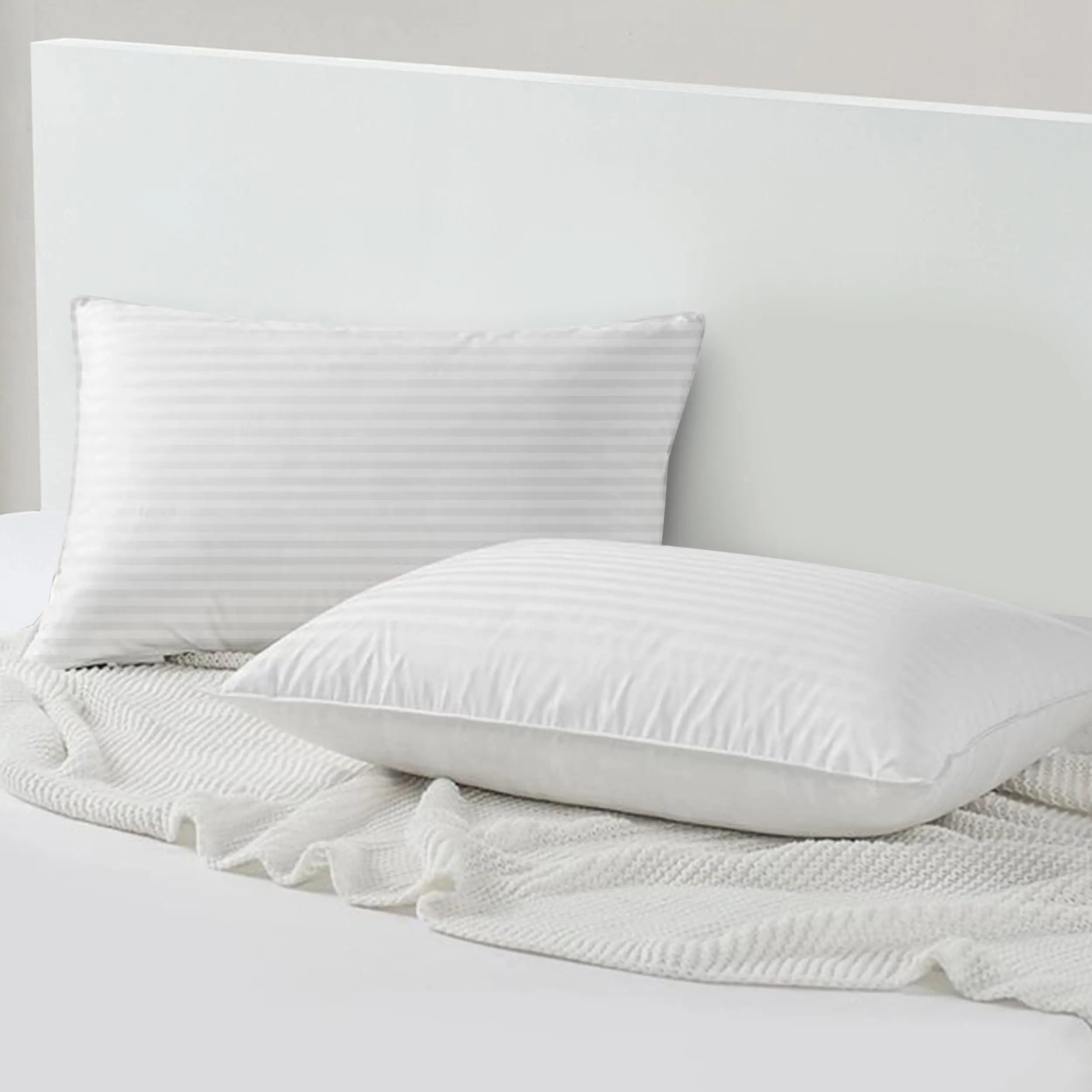 2 Down Pillows