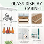 Glass Display Cabinet with Double Door and Lock